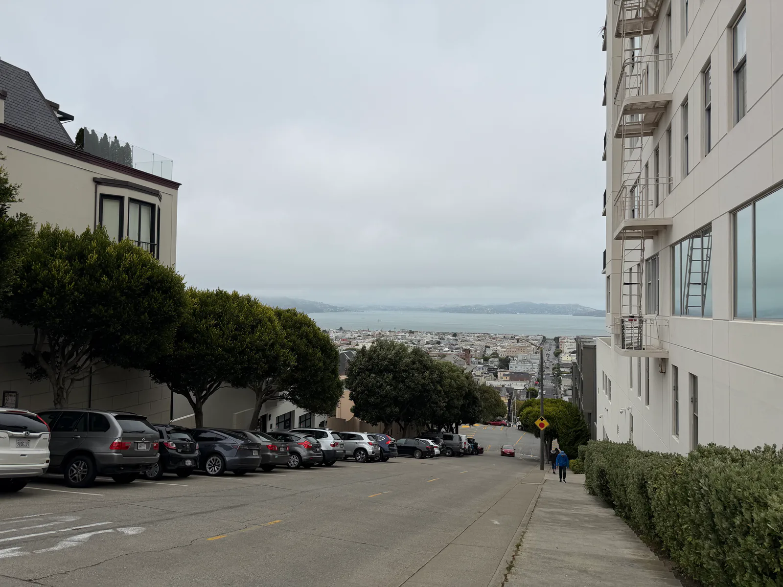 Steep residential street descending toward the Marina District and San Francisco Bay